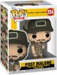 POP ROCKS 254 POST MALONE