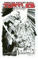 Teenage Mutant Ninja Turtles, Vol. 1: Return to New York—Inked Deluxe Edition