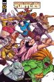 TMNT VS STREET FIGHTER #2 (OF 5) COVER D 1:25
