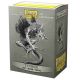 Dragon Shield Silver Matte Art Fenrir (100)