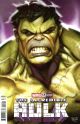 INCREDIBLE HULK #18 RYAN BROWN VARIANT