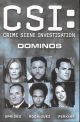CSI DOMINOS TP