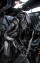 ALIEN #1 LARROCA 1:25 VARIANT