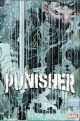 PUNISHER 1 (2022) ROMITA JR. VARIANT