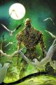 SWAMP THING GREEN HELL #3 COVER C 1:25 TRAVEL FOREMAN VARIANT (MR)