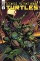 TMNT ONGOING #121 CVR C 10 COPY INCV ALLEYNE