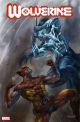 WOLVERINE #25 COVER D 1:25 PARRILLO VARIANT