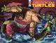 TMNT ONGOING #143 COVER C 1:10 SANCHEZ