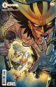 HAWKGIRL #3 (OF 6) COVER D INC 1:25 FRANCIS MANAPUL CARD STOCK