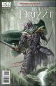 DUNGEONS & DRAGONS DRIZZT 1 A
