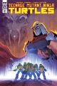 TMNT ONGOING #132 COVER C 1:10 LEITE