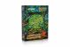 MTG STAINED GLASS FOREST LTD ED AR PIN