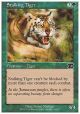 Stalking Tiger (6th)