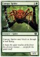 Canopy Spider (8th)