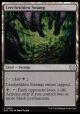 Leechridden Swamp