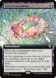 Grave Venerations (Extended Art)