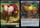 Boar // Treasure Double-Sided Token