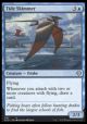 Tide Skimmer