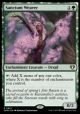 Sanctum Weaver
