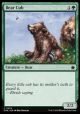 Bear Cub