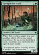 Springbloom Druid