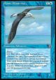Giant Albatross (Ocean)