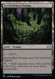 Leechridden Swamp