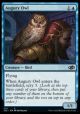 Augury Owl