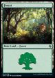 Forest (74)