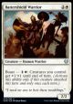 Battershield Warrior