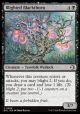 Blighted Blackthorn