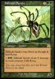 Silklash Spider