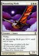 Moonwing Moth
