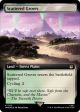 Scattered Groves (Extended Art) (Surge Foil)
