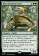 Blossoming Tortoise