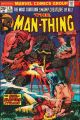 MAN-THING 06 (1974)