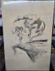 NEAL ADAMS Barbarian Woman Monster PENCIL SKETCH PRINT MOUNTED 17IN X 22IN