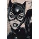 CATWOMAN #50 COVER F 1:50 SOZOMAIKA FOIL CARD STOCK VARIANT