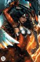 ABSOLUTE WONDER WOMAN #3 COVER E INC 1:50 ARIEL DIAZ CARD STOCK VARIANT