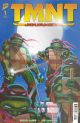 TEENAGE MUTANT NINJA TURTLES JOURNEYS (2025) #1 RI FOIL