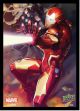 Marvel Iron Man Slvs (65)