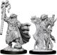 Dungeons & Dragons: W8: Dragonborn Female Sorcerer