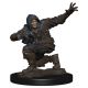 Pathfinder Battles Premium Painted: W1: Human Rogue Male