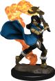 D&D Icons of the Realms Premium Painted Figure Human Female Cleric