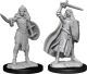 Pathfinder Deep Cuts: W14: Female Human Champion