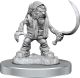 Dungeons & Dragons Nolzur`s Marvelous Unpainted Miniatures: W16 Redcaps