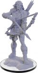 Dungeons & Dragons Nolzur's Marvelous W22 Wood Giant