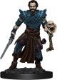 Dungeons & Dragons: Premium Painted: W4: Human Warlock Male