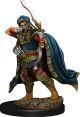 Dungeons & Dragons: Premium Painted: Elf Rogue Male