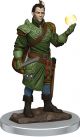 Dungeons & Dragons: Premium Painted: W7: Male Half-Elf Bard